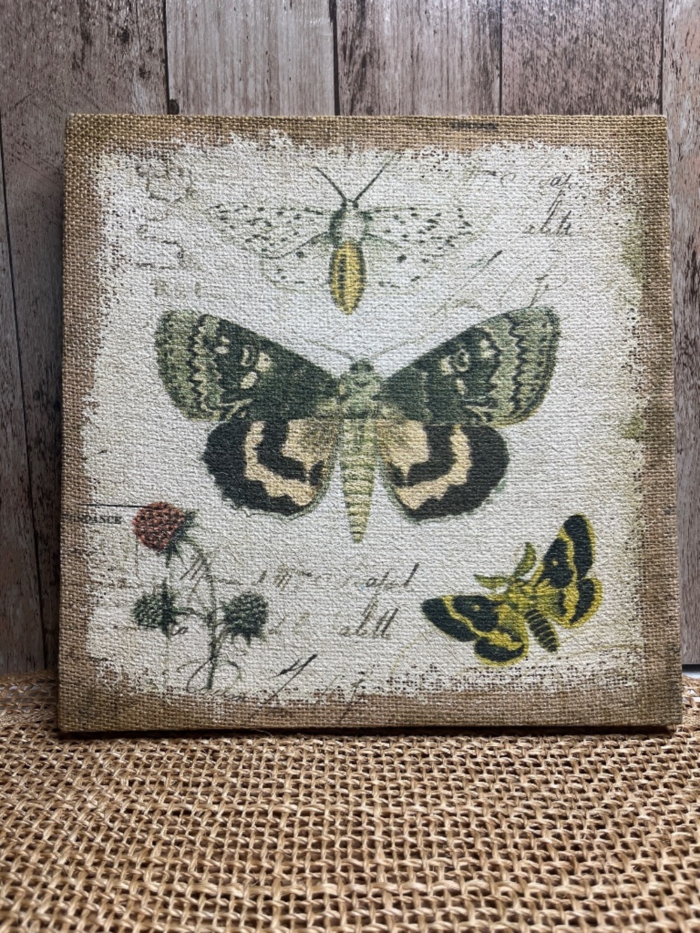 Botanical Butterfly Canvas Wall Art Rustic Nature Decor Burlap Style